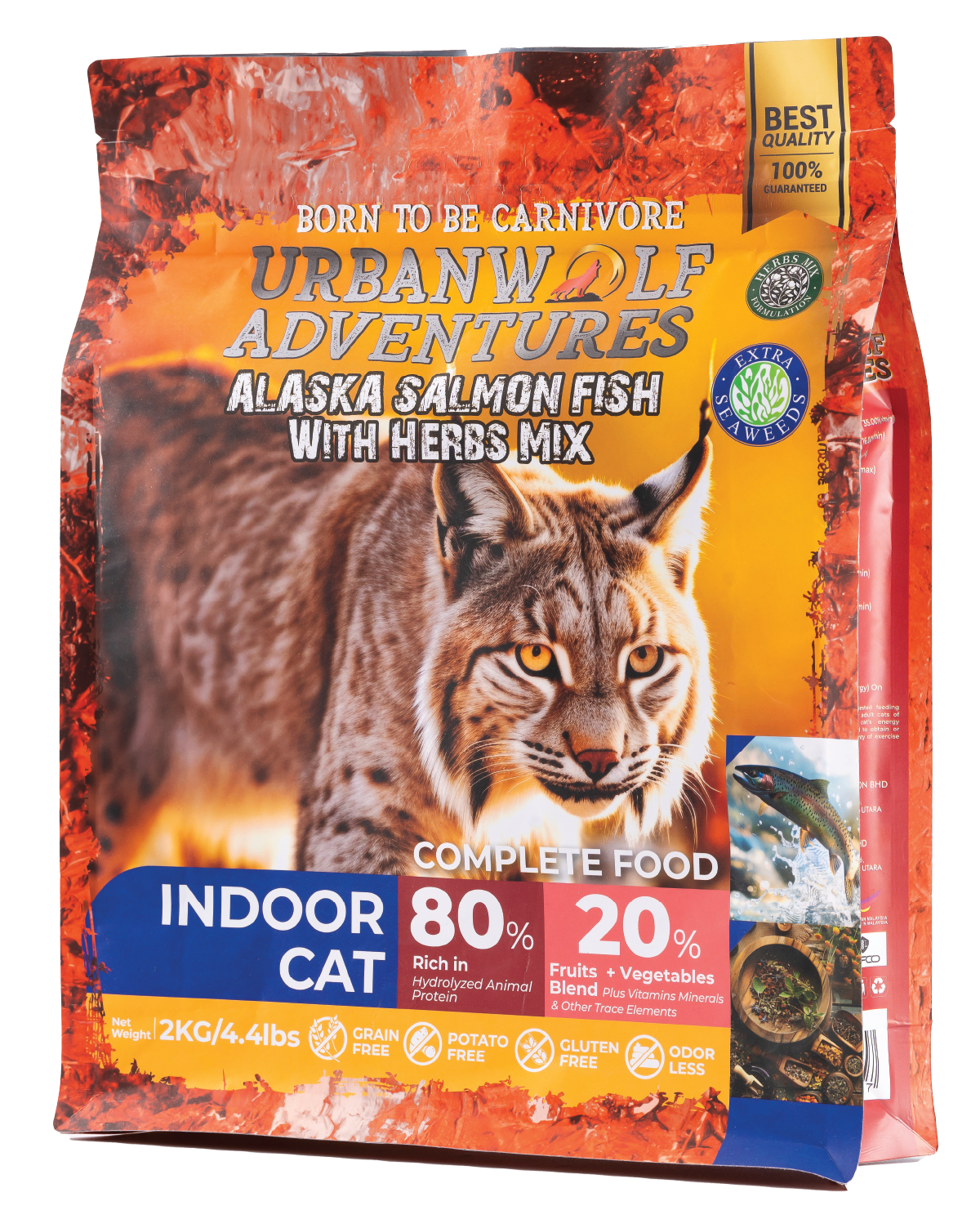 INDOOR CAT